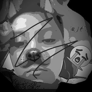 Meet your Posher, Rolando